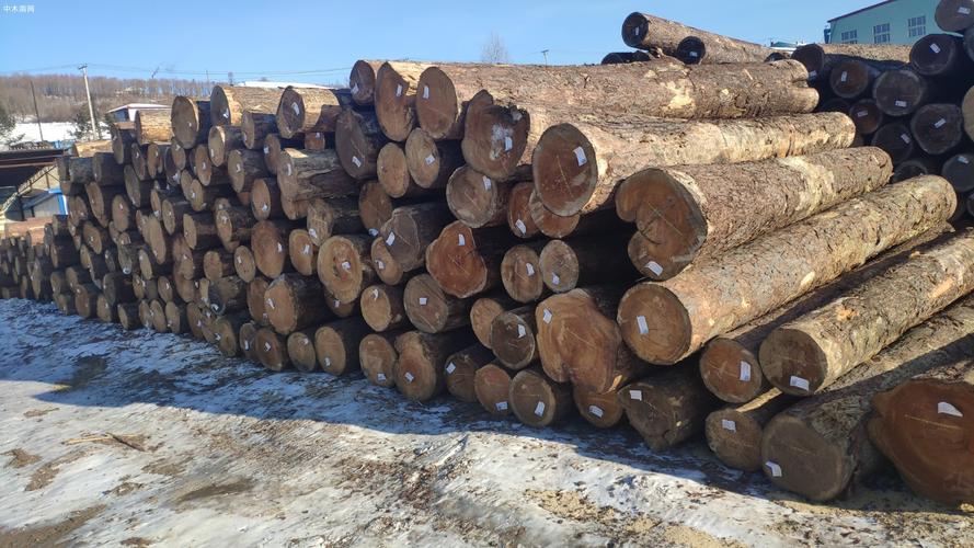 俄罗斯木材进口